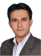 Reza Amini